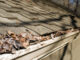 The ultimate winter gutter checklist: Expert reveals how to prevent damp and roof damage