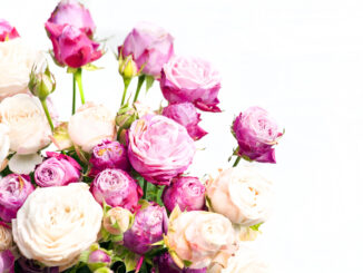 Warning to pet owners regarding flowers ahead of Valentine’s Day