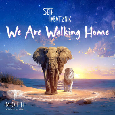 Seth Tabatznik shares ‘We Are Walking Home’ single