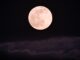 April's Full Pink Moon 2026: What It Is, When to See It, and Why It's Got Such a Pretty Name