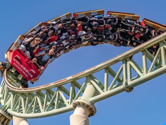 Want to Beat the Queues and Make the Most of Your Theme Park Day? Experts Reveal How