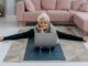 The Best Pilates Accessories for Beginners (What’s Worth Buying — And What Isn’t)