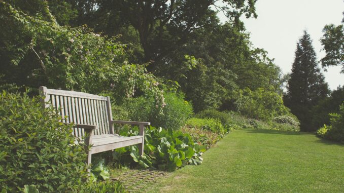 The Spring Garden Mistake Thousands of Homeowners Make Without Realising
