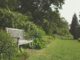The Spring Garden Mistake Thousands of Homeowners Make Without Realising