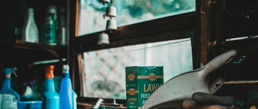 Warning: These Are the 6 Worst Things to Keep in Your Shed