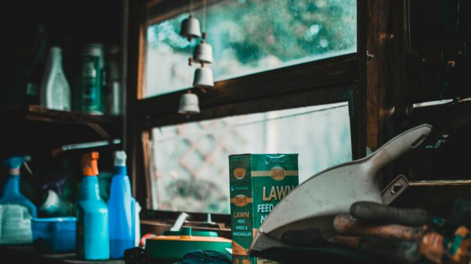 Warning: These Are the 6 Worst Things to Keep in Your Shed