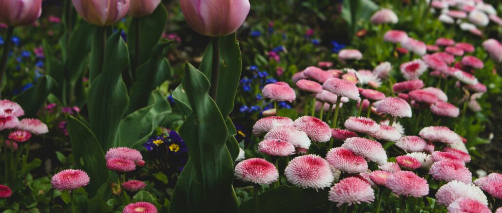 Don't Overlook Your Garden This Spring — These Renovations Could Add Thousands to Your Property