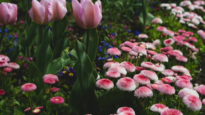 Don't Overlook Your Garden This Spring — These Renovations Could Add Thousands to Your Property