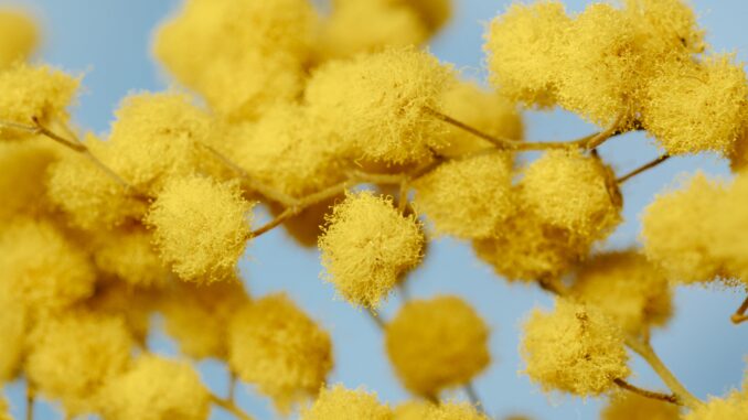 Is Pollen Giving You "Allergy Face"? A Dermatologist Explains What to Look For