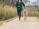 Running With Your Dog in Marathon Season? A Vet Reveals What Most Owners Get Wrong