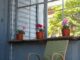 The Spring Porch Trend Is Everywhere Right Now — Here's How to Nail It