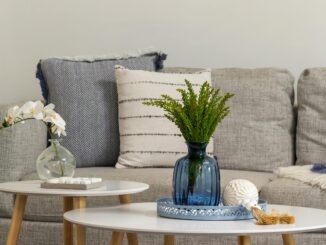 What Is the 'Burping' Trick — and Why Allergy Experts Say It Could Transform Your Home