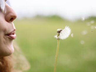 Pollen season is here — 8 expert-approved laundry tweaks that make a real difference
