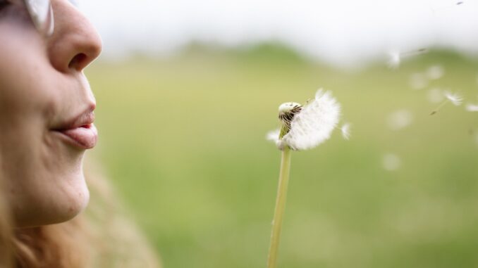 Pollen season is here — 8 expert-approved laundry tweaks that make a real difference