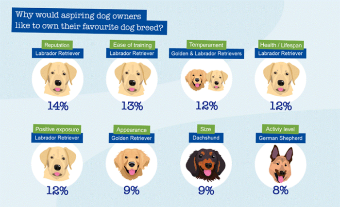 Britain's Dog Breeds
