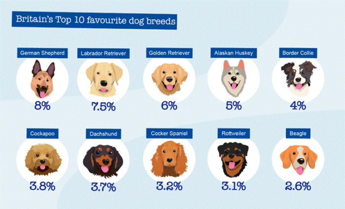 Britain's Dog Breeds