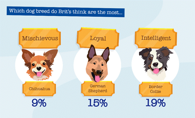 Britain's Dog Breeds