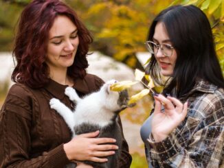 The side of long-term pet care nobody prepares you for — vets share their insights