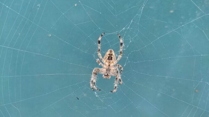 What would actually happen if you were bitten by a radioactive spider?