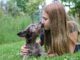The first ten minutes: A calm guide to pet emergencies