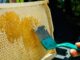 How to Make DIY Beeswax & Botanical Fire Starters