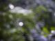 Natural and Eco-friendly Hacks to Keep Spiders Out of Homes